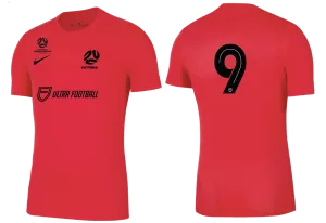FV NTC PROGRAMS  Men's Park 7 Jersey - GK Away Kit (BV6708-635)