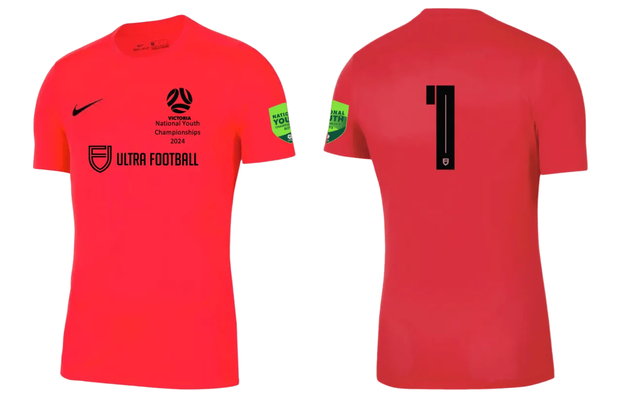 FV STATE REP SQUADS  Men's Park 7 Jersey (BV6708-635)