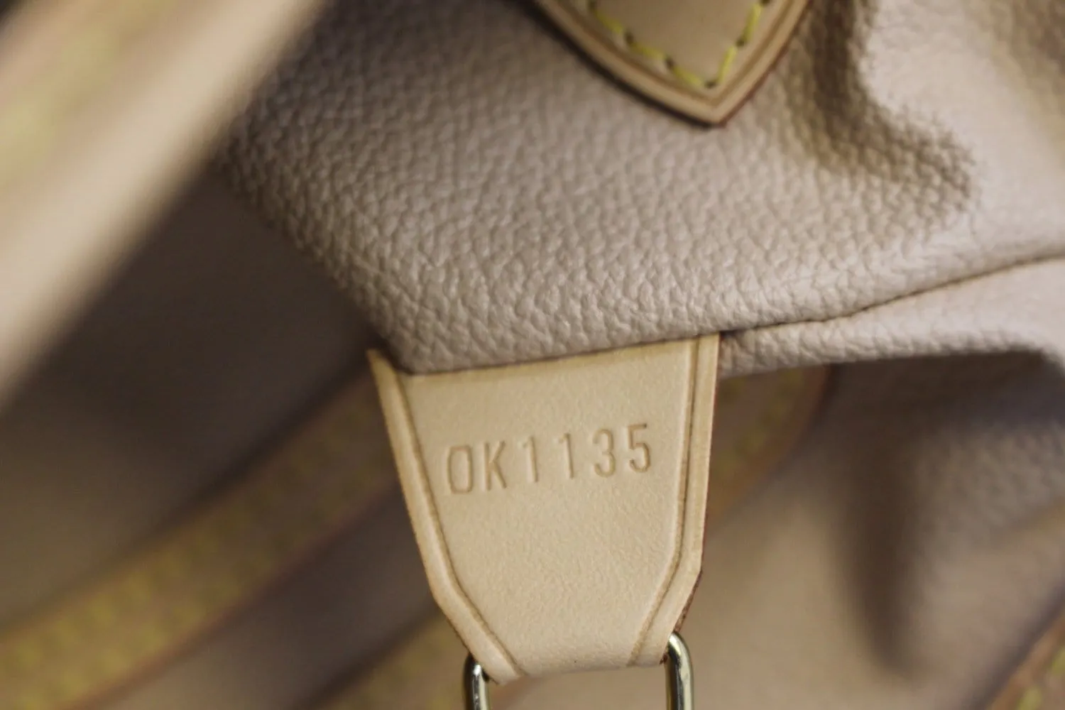LOUIS VUITTON Bucket PM Monogram Canvas Shoulder Bag
