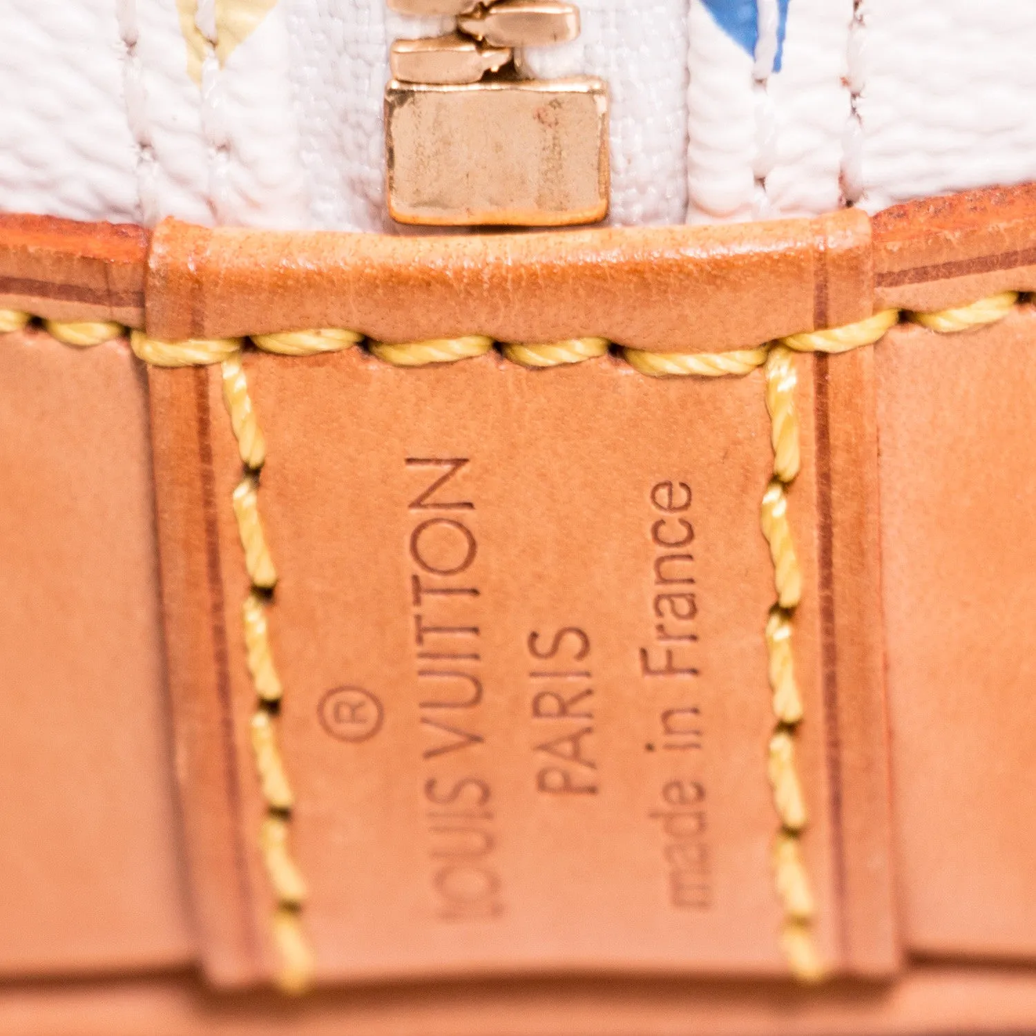 Louis Vuitton Multicolor Alma PM