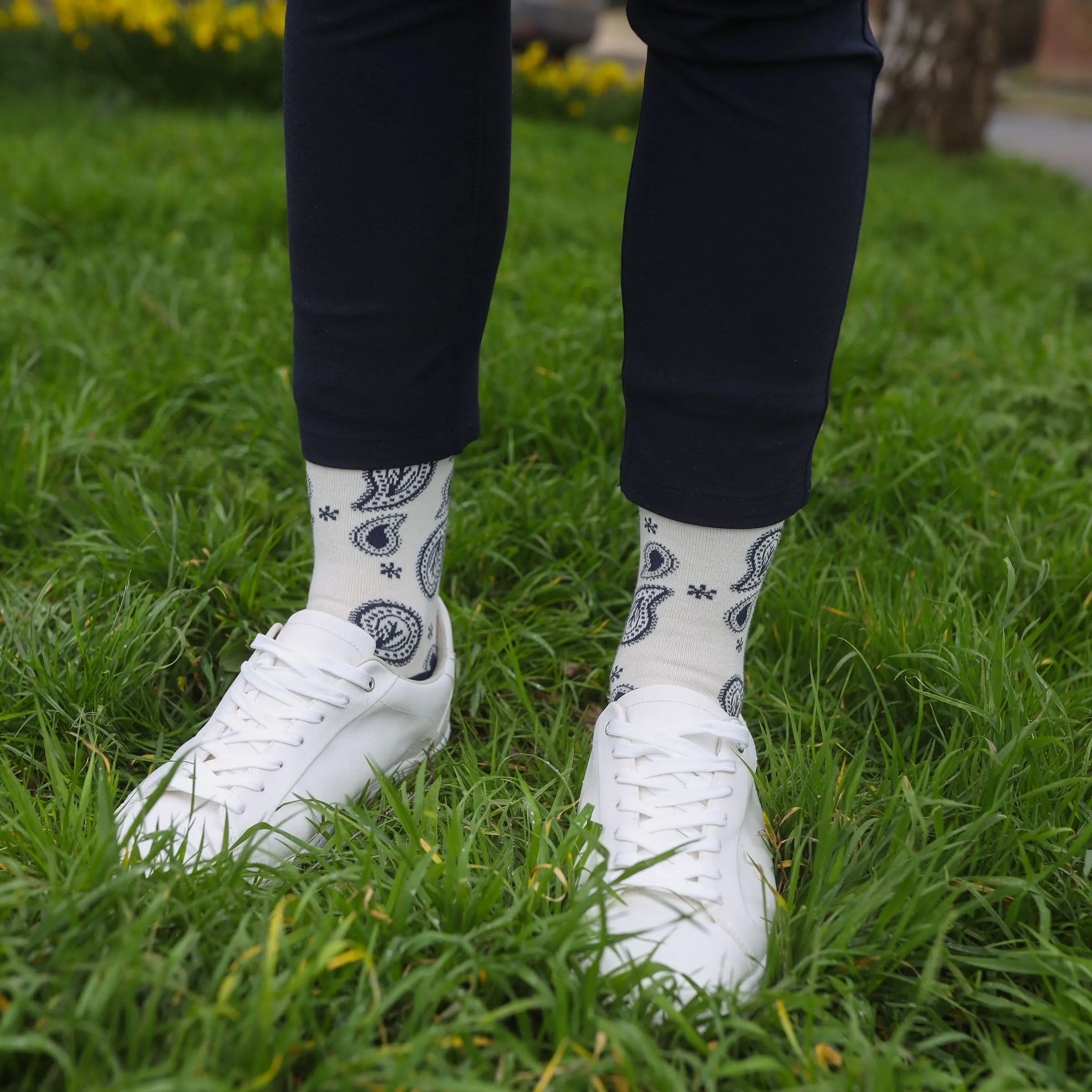 Paisley Men's Organic Cotton Socks | Cream