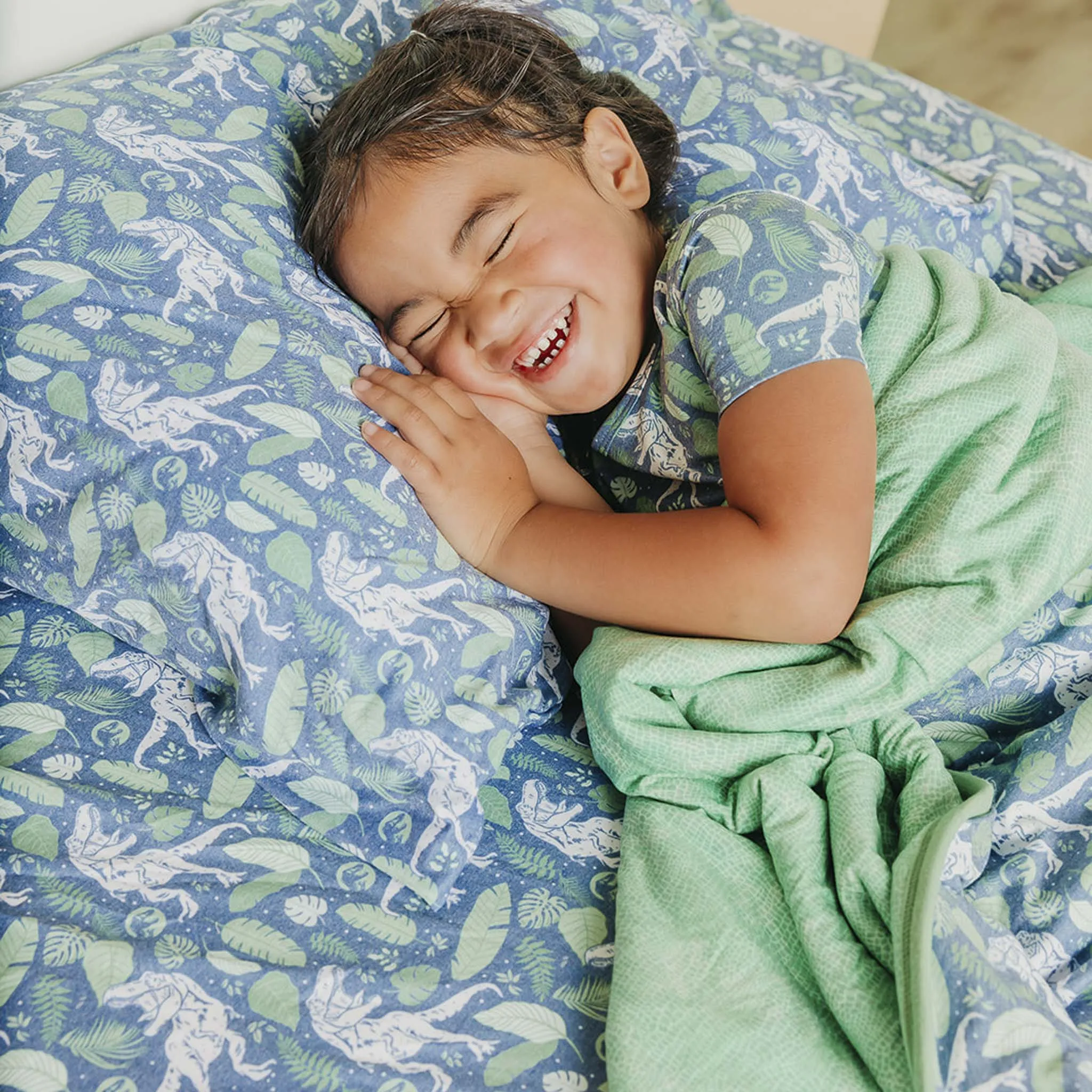 Twin Cloud Comforter - Jurassic Park