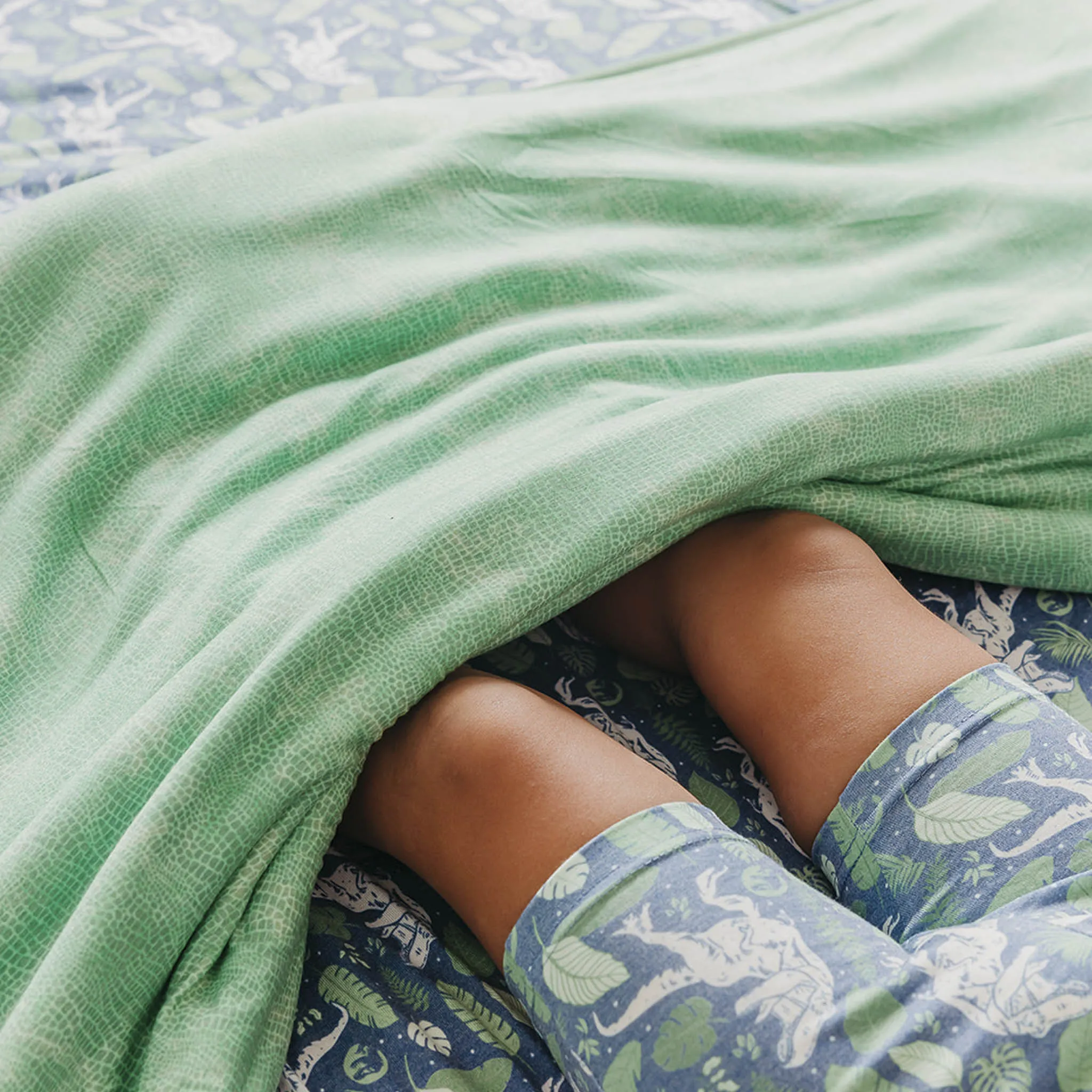 Twin Cloud Comforter - Jurassic Park