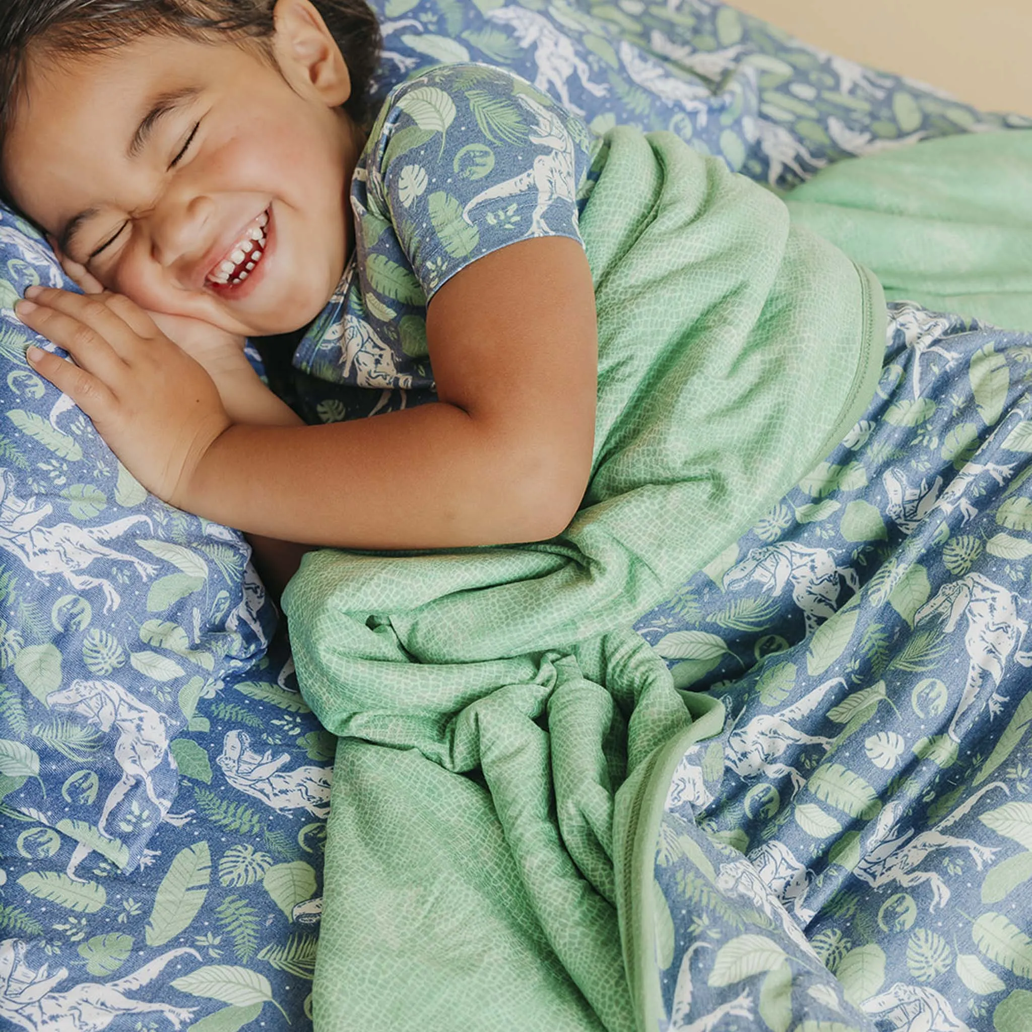 Twin Cloud Comforter - Jurassic Park